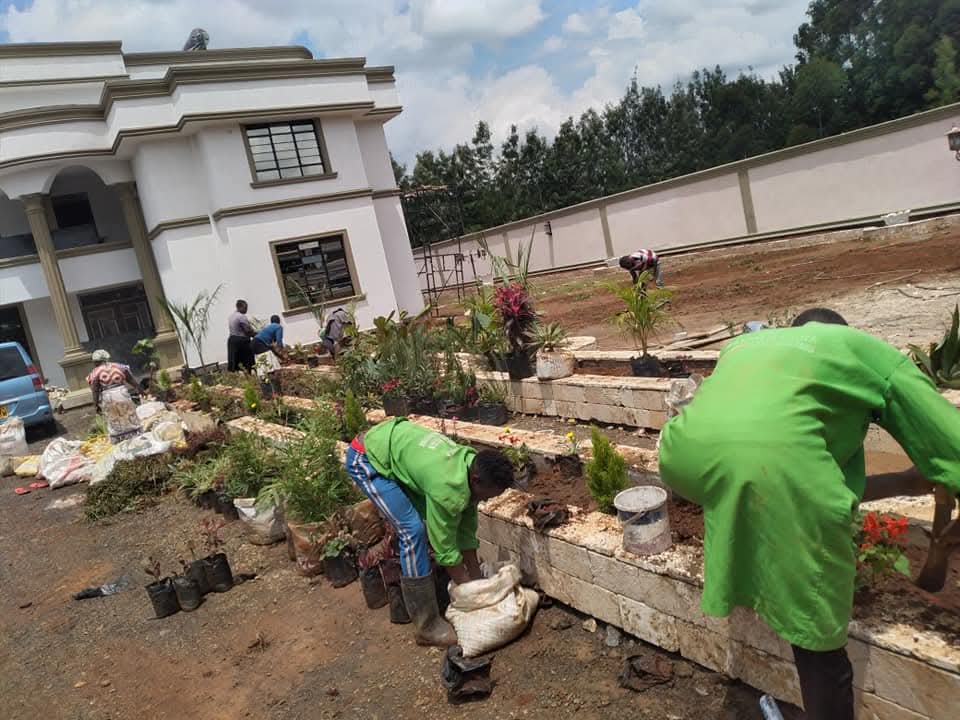 Landscaping Services